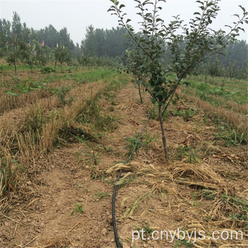 16 Tubo de irrigação por gotejamento Tubo de irrigação por gotejamento cilíndrico